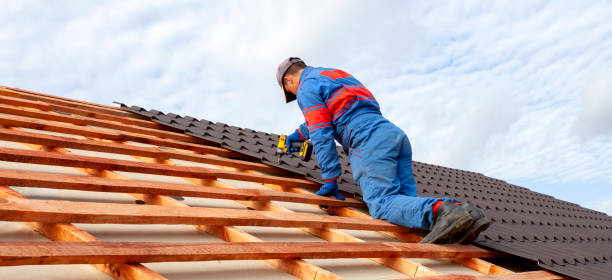Best Roof Moss and Algae Removal  in Devens, MA